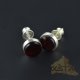 Stud amber earrings with silver
